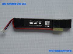 LiFePO4 battery