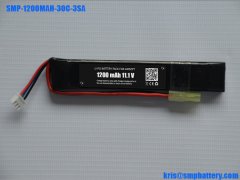 LiFePO4 battery