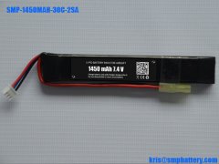 LiFePO4 battery